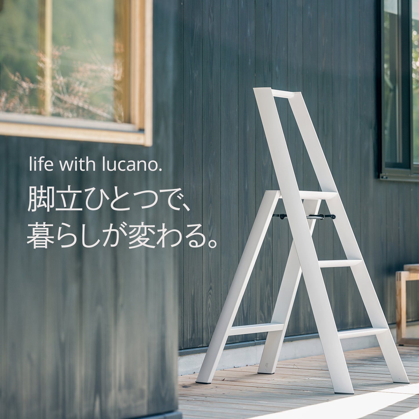 【公式】lucano  3step ML-3a standard